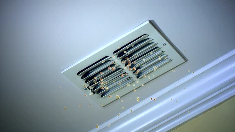 Best HVAC Duct Inspection Services  in Pass Christian, MS